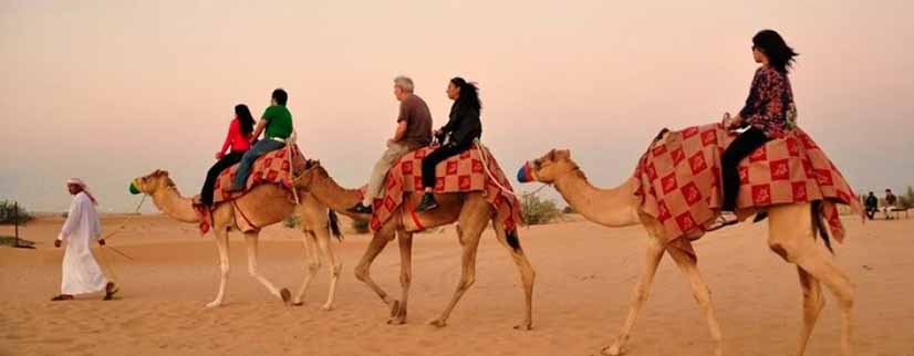Desert Safari